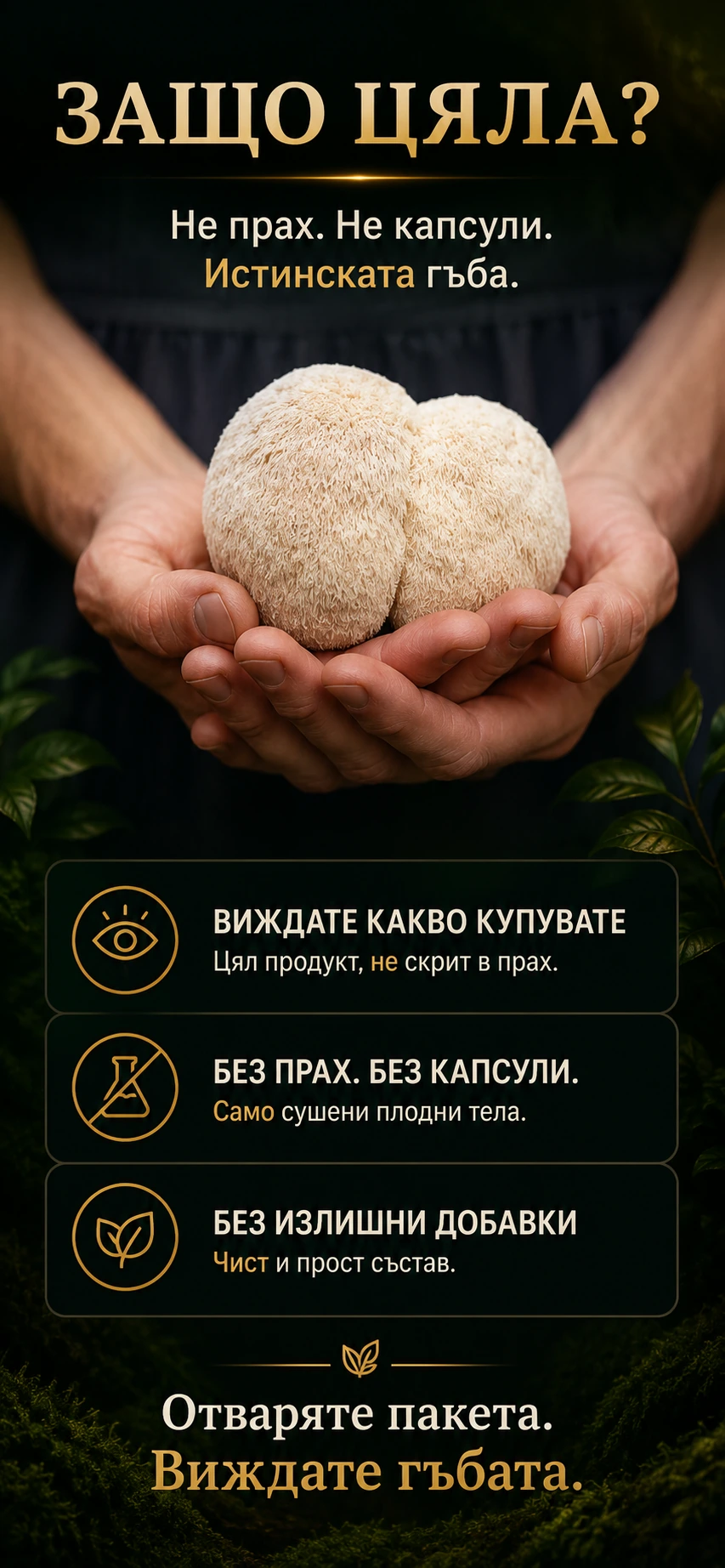 Защо цяла Лъвска грива